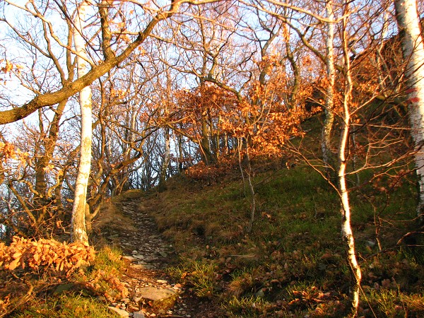 ESK STEDOHO - LIPSK HORA 688 M